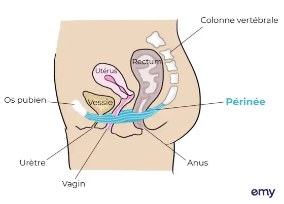 Urgenturie féminine - Solutions efficaces pour retrouver le contrôle