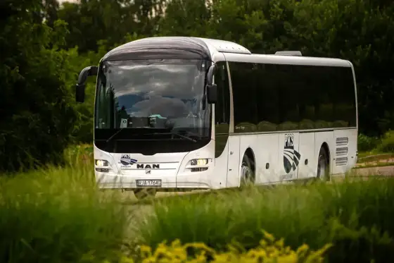 Autobus z Horyńca-Zdroju - Jak nie pomylić przystanku i kursu?