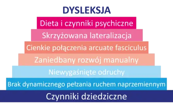 Dysleksja to choroba psychiczna? Prawda, której musisz znać
