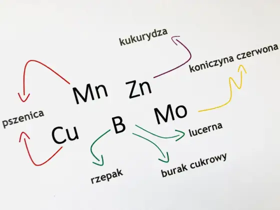 Makro i mikroelementy w nawożeniu - co naprawdę decyduje o plonie?
