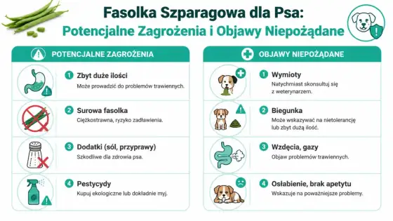 Czy pies może jeść szparagi? Bezpieczne podawanie - Poradnik