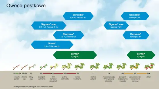 Difenokonazol - Jak działa? Zastosowanie w ochronie roślin