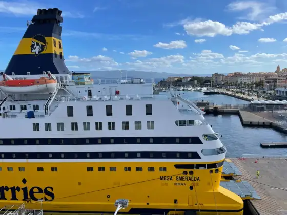 Corsica Ferries avec un chien - Le guide complet pour voyager