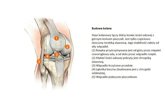 Gonartroza kolana - Leczenie, rehabilitacja i kiedy operacja?