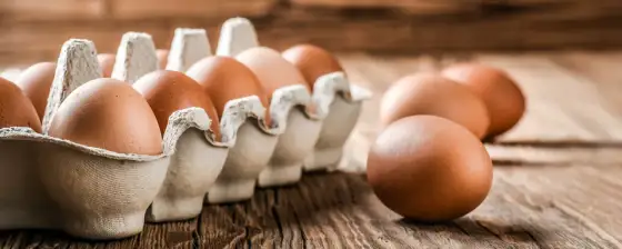 Wie lange sind Eier haltbar? Frische prüfen und richtig lagern