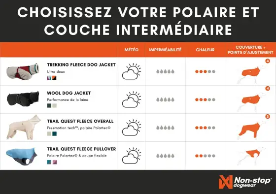 Vêtement pour chien - comment choisir sans se tromper