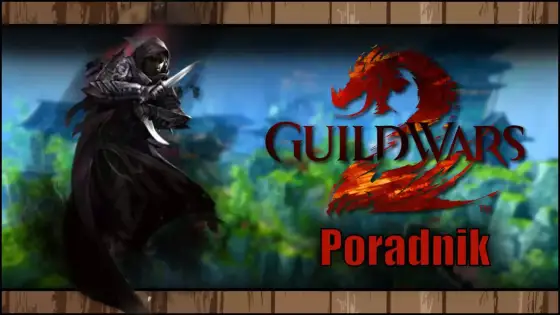 Guild Wars 2 wymagania - Co naprawdę liczy się dla płynnej gry?
