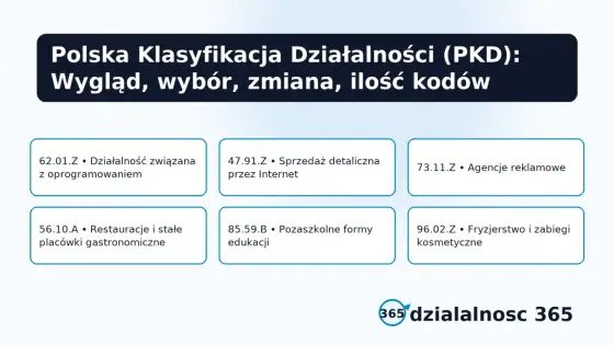 PKD - Jak wybrać kody dla firmy? Uniknij błędów i aktualizuj wpis!
