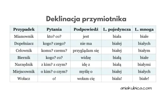 Przymiotnik - na jakie pytania odpowiada i jak go rozpoznać?