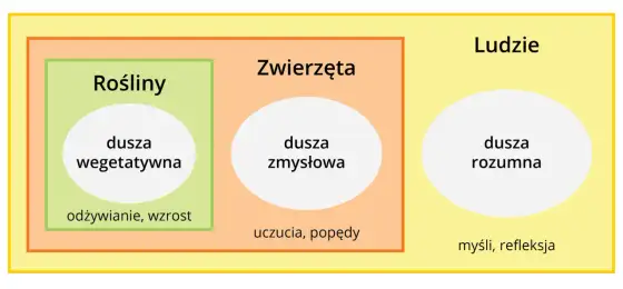 Czy masz duszę? Filozofia, nauka i wiara odpowiadają