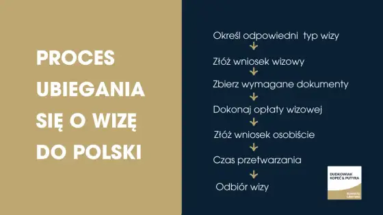 Wiza humanitarna do Polski - Kompletny przewodnik
