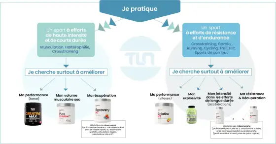 Quand prendre la créatine et quelle dose choisir ?