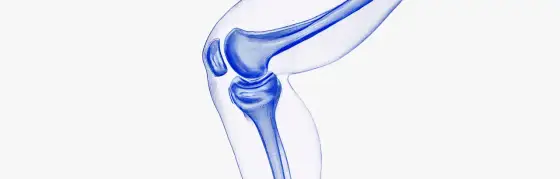 Régénérer le cartilage naturellement - Ce qui fonctionne vraiment