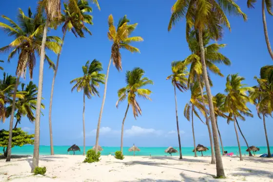 Wiza na Zanzibar i paszport - uniknij błędów przed wylotem