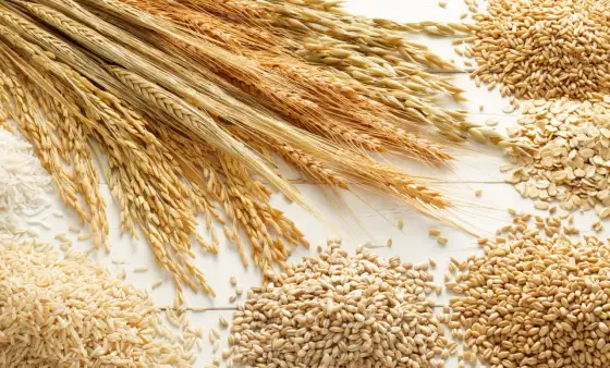 Gluten - Co to jest i komu szkodzi? Prawda o diecie!