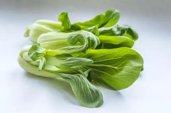 Pak choi z siewu - kiedy siać, by zebrać zwarte rozety