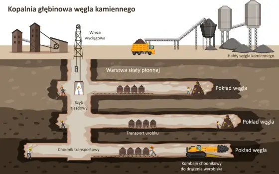 Jak powstaje węgiel kamienny? Poznaj fascynujący proces
