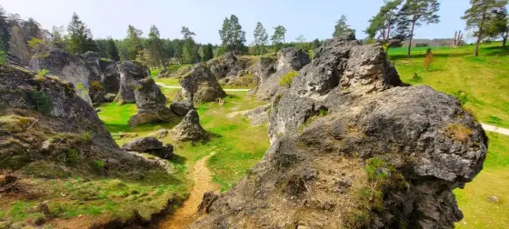 Felsenmeer im Wental entdecken - Route, Geologie und Tipps