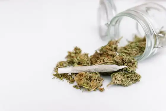 THC - jak działa, ile trwa i czy na pewno wiesz wszystko?