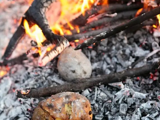 Kartoffeln aus der Glut - die besten Rezepte und die richtige Garzeit