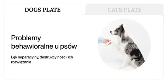 Problemy behawioralne zwierząt - Jak czytać sygnały i pomagać?