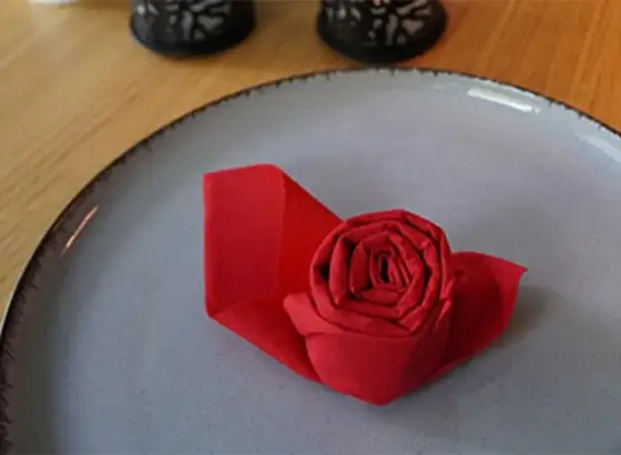 Pliage serviette papier dans l'assiette - Le guide parfait