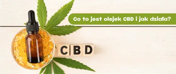 Olejek CBD - na co pomaga naprawdę? Fakty zamiast marketingu