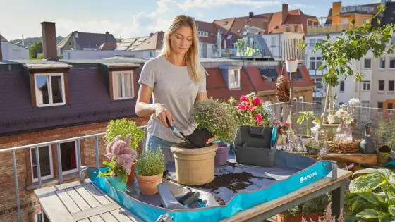 Trawy ozdobne na balkon - Stwórz zieloną oazę na lata!