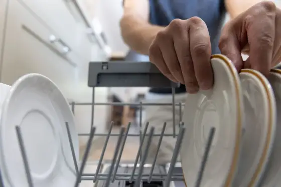Zmywarka Siemens E24 - Prosta naprawa czy serwisant?