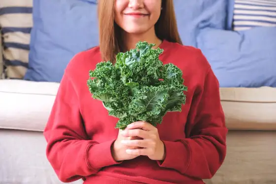 Chou kale - Quels sont ses réels bienfaits et comment le cuisiner ?