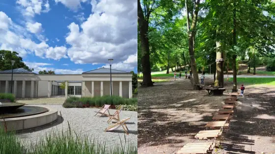 Jankowice - jak rozpoznać i które wybrać na wyjazd?