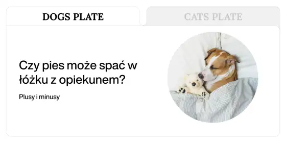 Pies nie może spać w nocy? Rozwiąż problem!