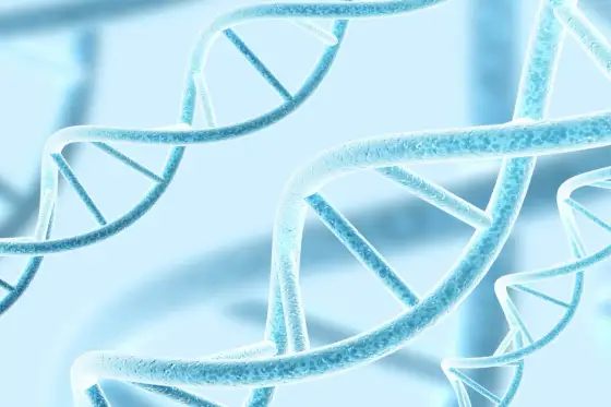 Polimorfizm - Jak naprawdę działa? Biologia i programowanie