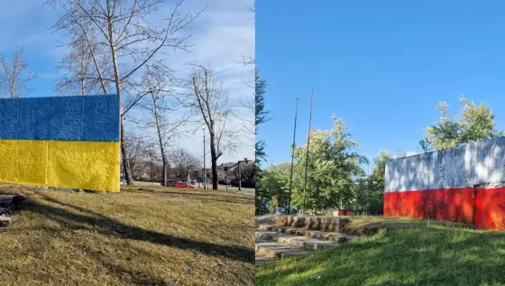 Nie myl flag! Czerwono-biało-niebieskie - Jak je rozpoznać?