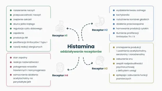 Nietolerancja histaminy - Czy to alergia? Rozwiej wątpliwości!