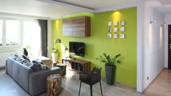 Zielony pokój: Inspiracje, modne odcienie i aranżacje wnętrz