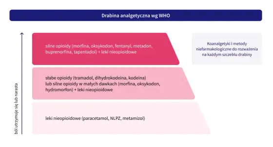 Leki przeciwbólowe - jak dobrać paracetamol, NLPZ i opioidy?