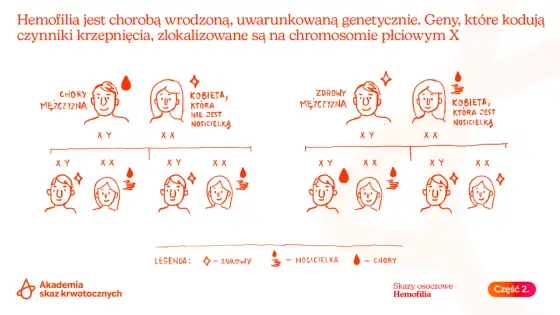 Hemofilia - objawy, diagnostyka, leczenie. Czy wiesz wszystko?