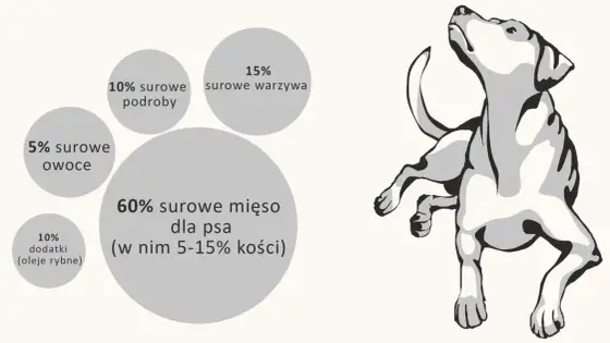 Ile mięsa dla psa? Klucz do zdrowej diety - Sprawdź!