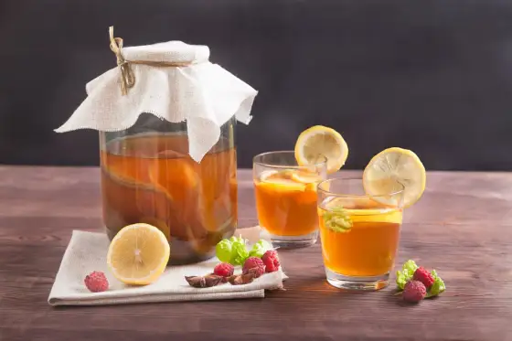Kombucha - Tout savoir pour bien le choisir et le savourer