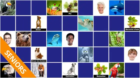 Jeu de mémoire difficile pour seniors - choisir le bon niveau