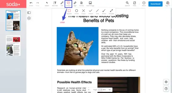 Znak wodny w Word i PDF - Jak dodać go bez straty czytelności?