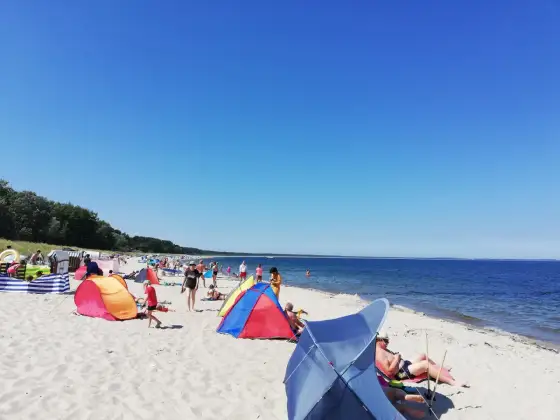 Strand in Glowe - alle Abschnitte und Regeln im Überblick