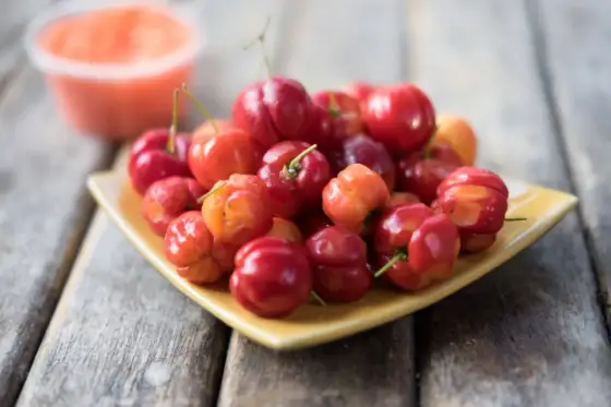 Egzotyczna wiśnia - Acerola czy inna? Wybierz mądrze!