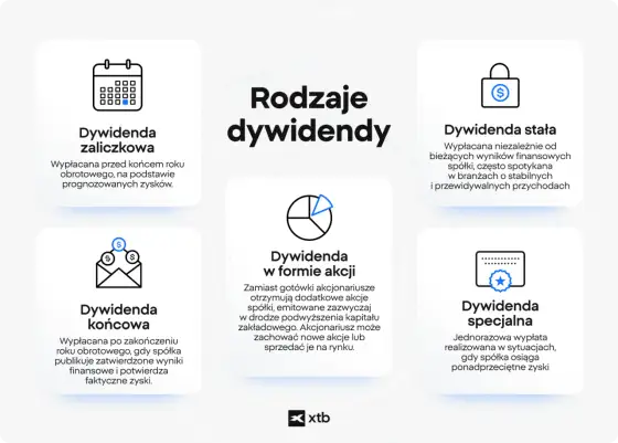 Akcje Stalexport - Czy warto kupić dla dywidendy? Analiza i ryzyka