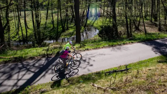 Bory Tucholskie - trasy rowerowe. Jak wybrać idealną?
