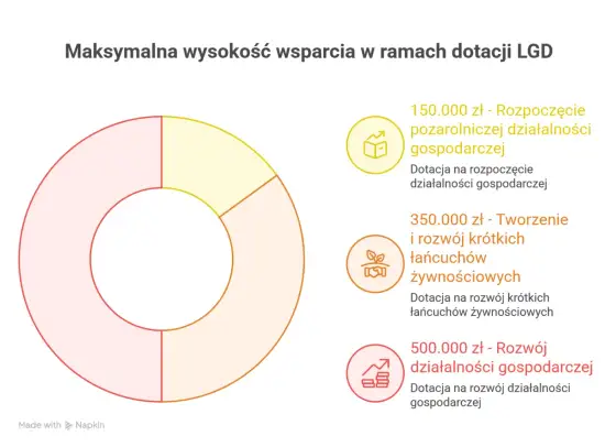 Dotacje LGD - Jak zdobyć środki i uniknąć błędów?