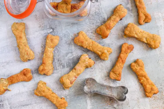 Galletas caseras para perros - Receta segura y fácil