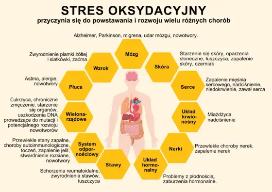 Antyoksydanty - objawy niedoboru i kiedy szukać pomocy?