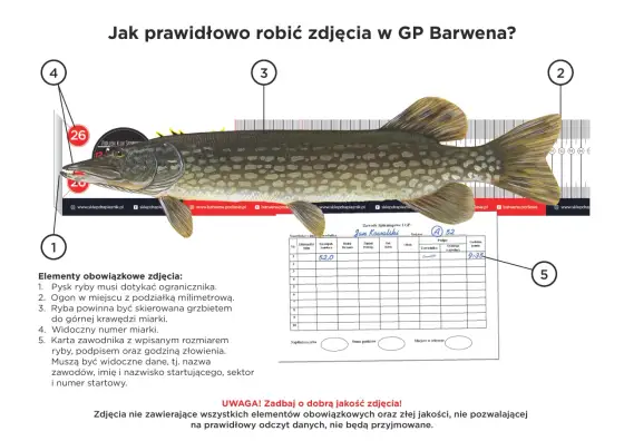Wymiar ochronny ryb - Jak mierzyć i unikać błędów?